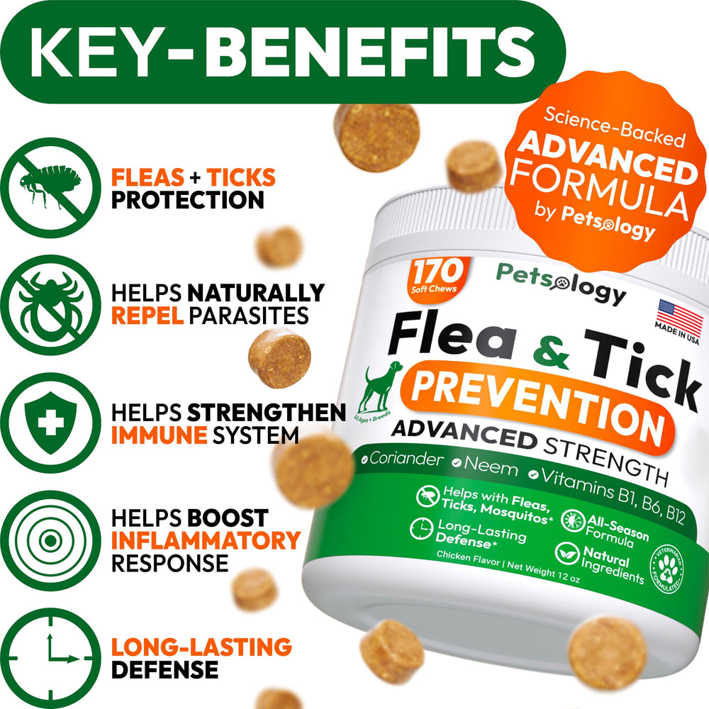 Petsology soft chews for dogs offer a tasty, convenient preventive option.