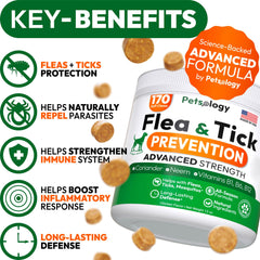 Petsology soft chews for dogs offer a tasty, convenient preventive option.