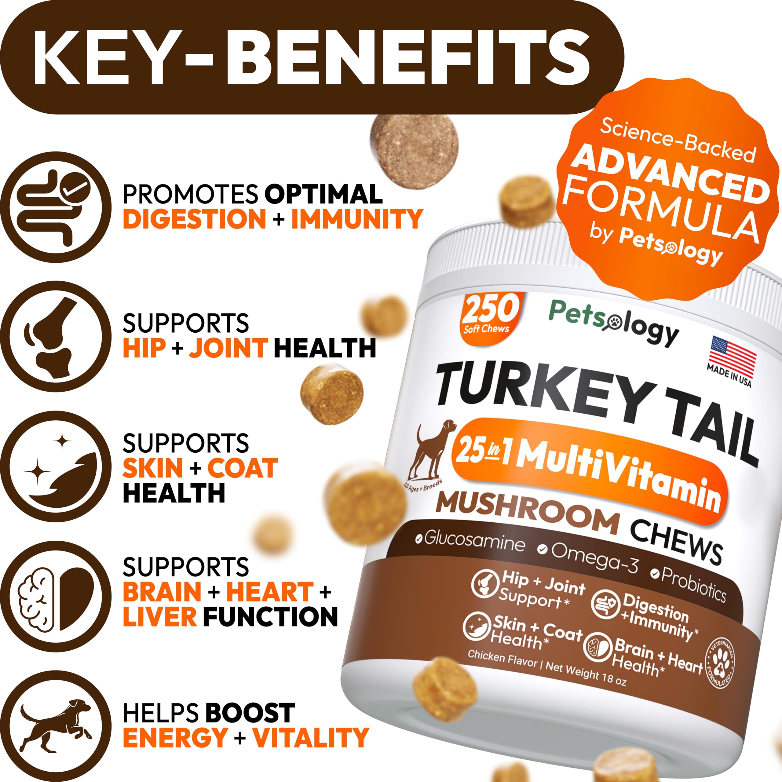 Petsology Turkey Tail pills close-up for daily canine dosing.