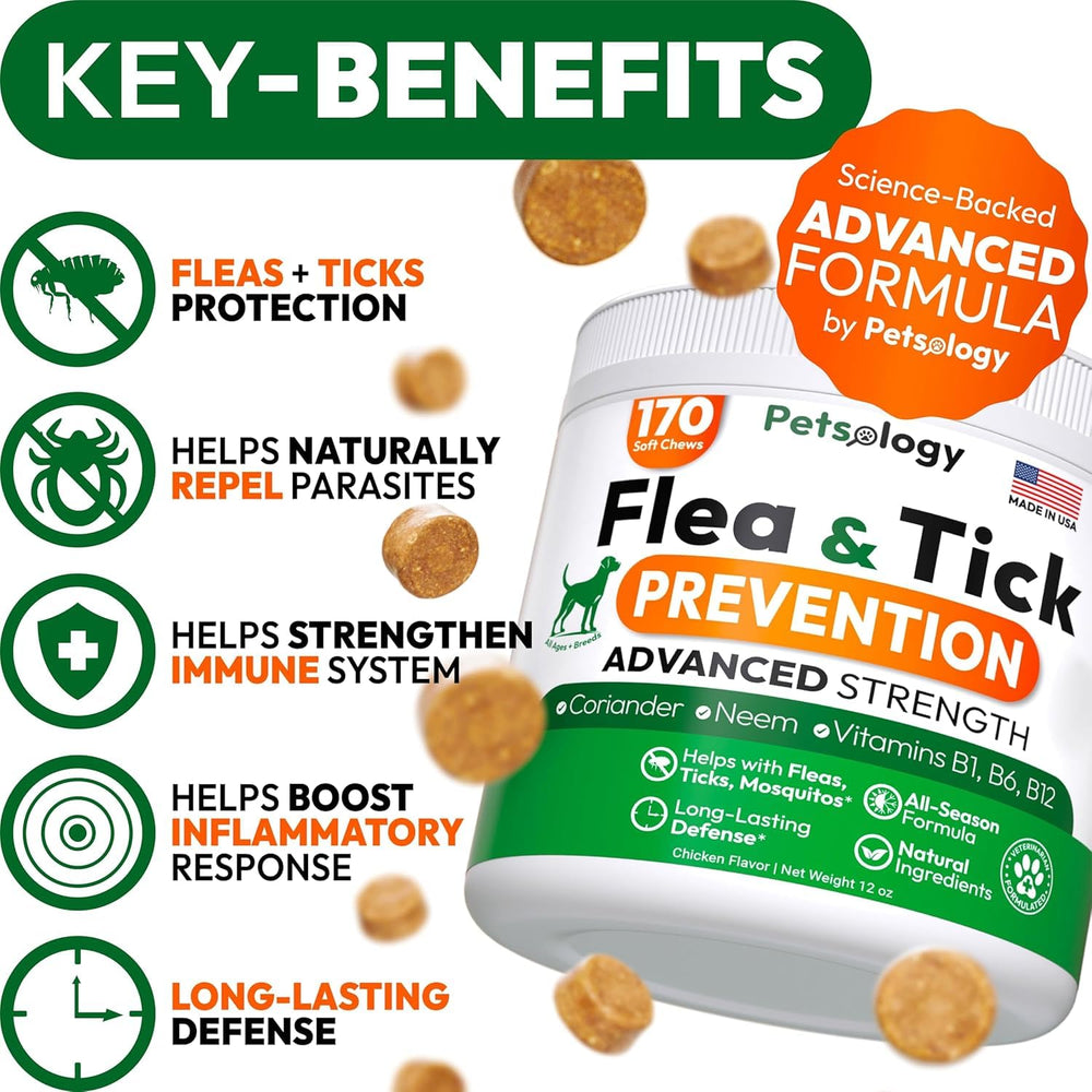 Petsology two-pack dog chews packaging highlights convenient value for households.