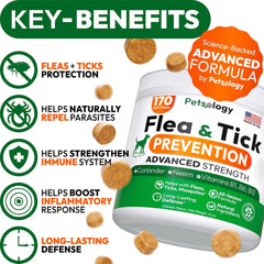 Petsology two-pack dog chews packaging highlights convenient value for households.