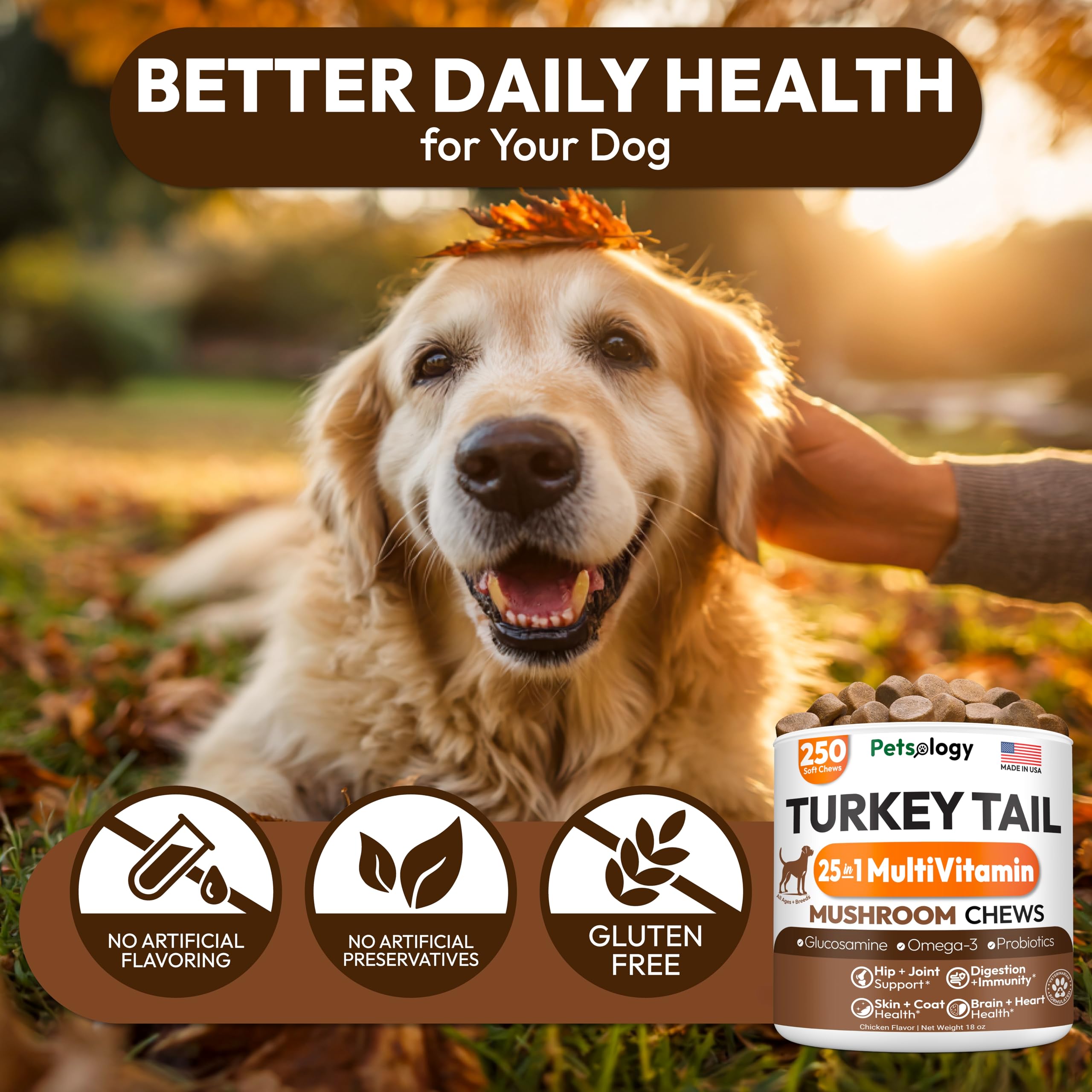 Petsology USA-made seal on packaging signaling quality.