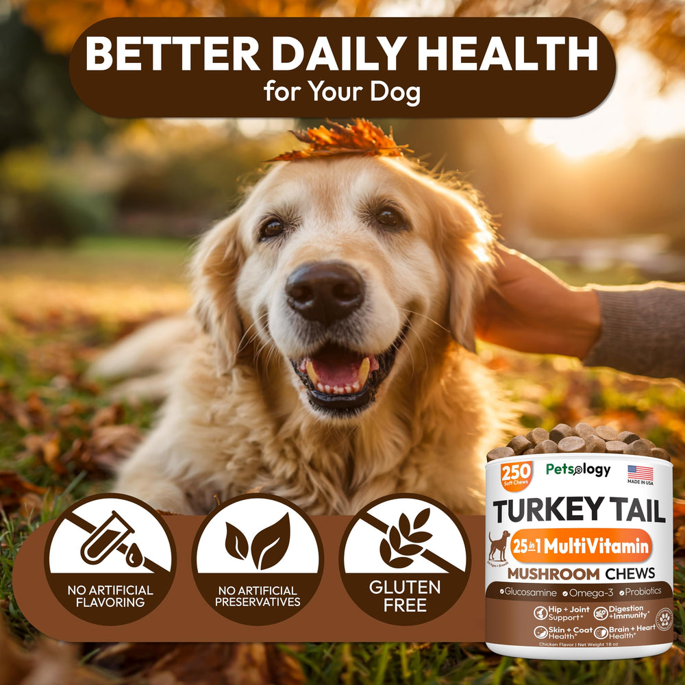 Petsology USA-made seal on packaging signaling quality.