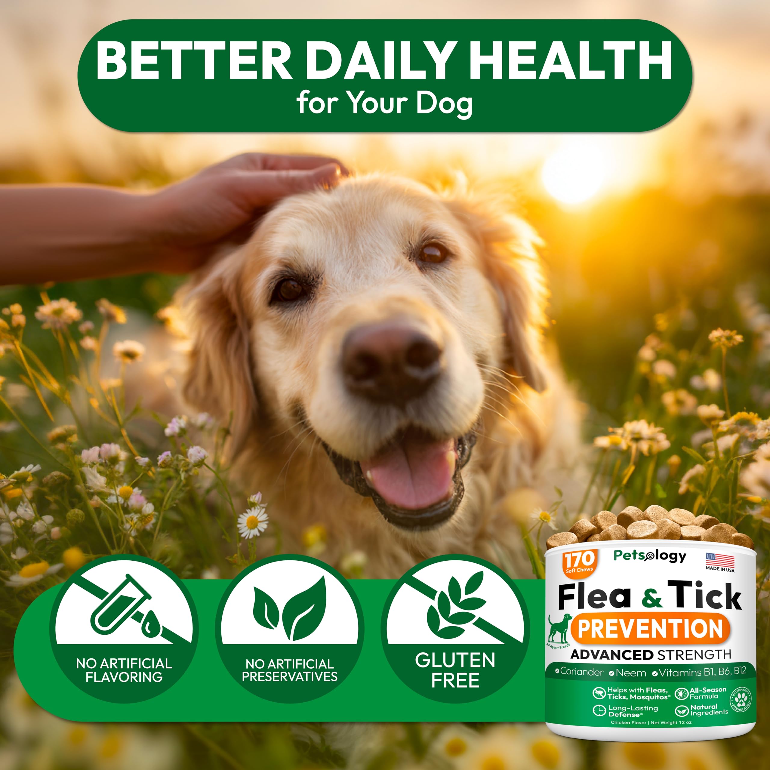 Petsology vet-recommended label reinforces trusted dog care.