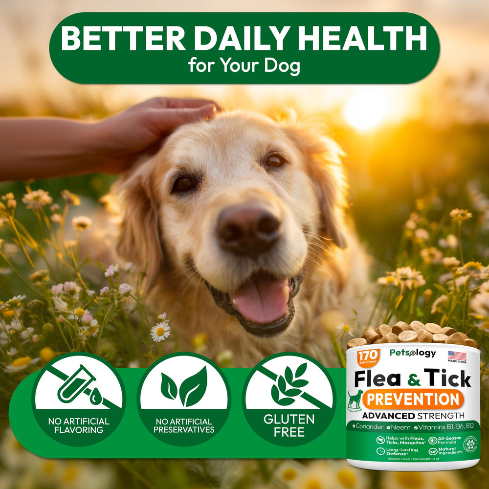 Petsology vet-recommended label reinforces trusted dog care.