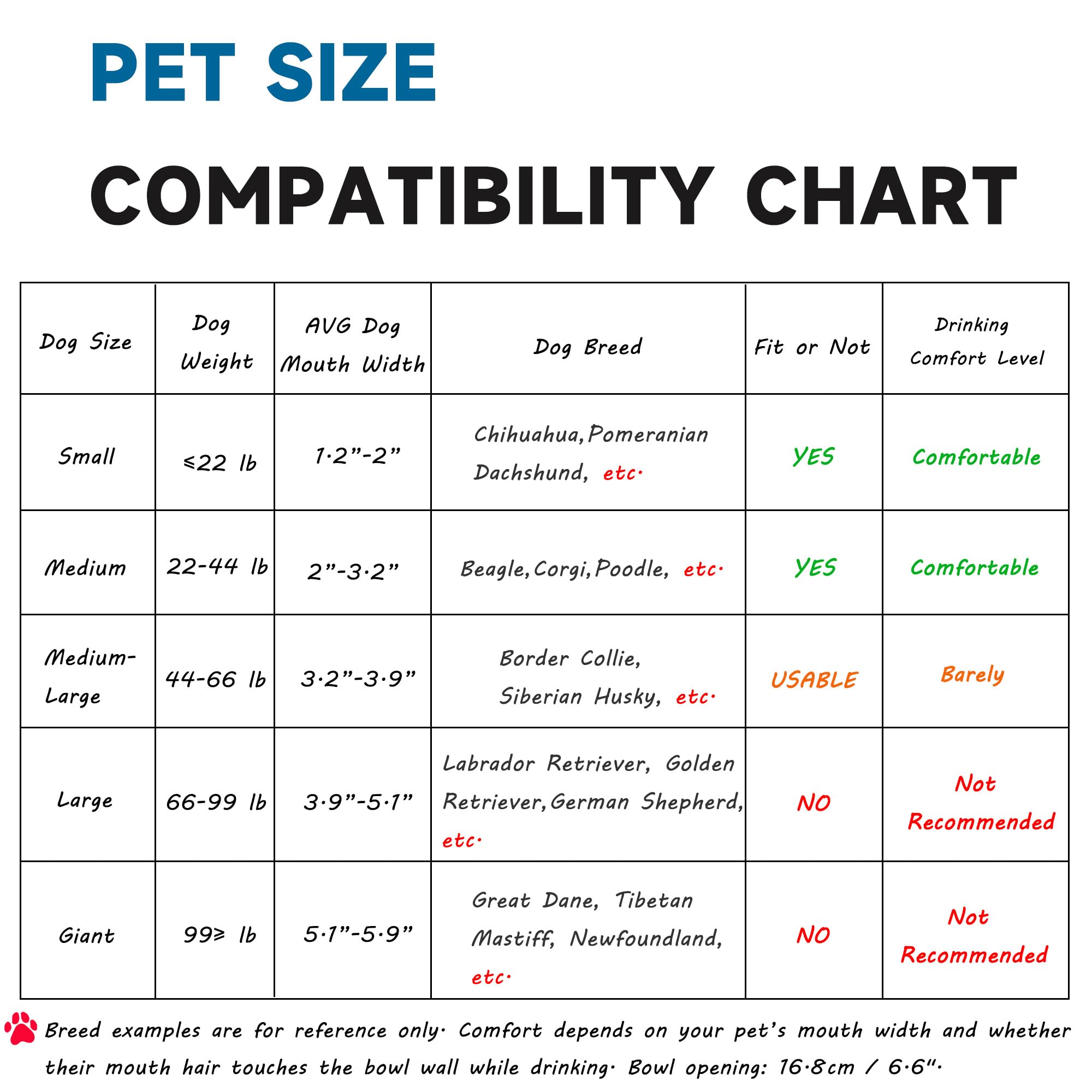 PETSOLON auto-refill water feeder maintains continuous fresh hydration