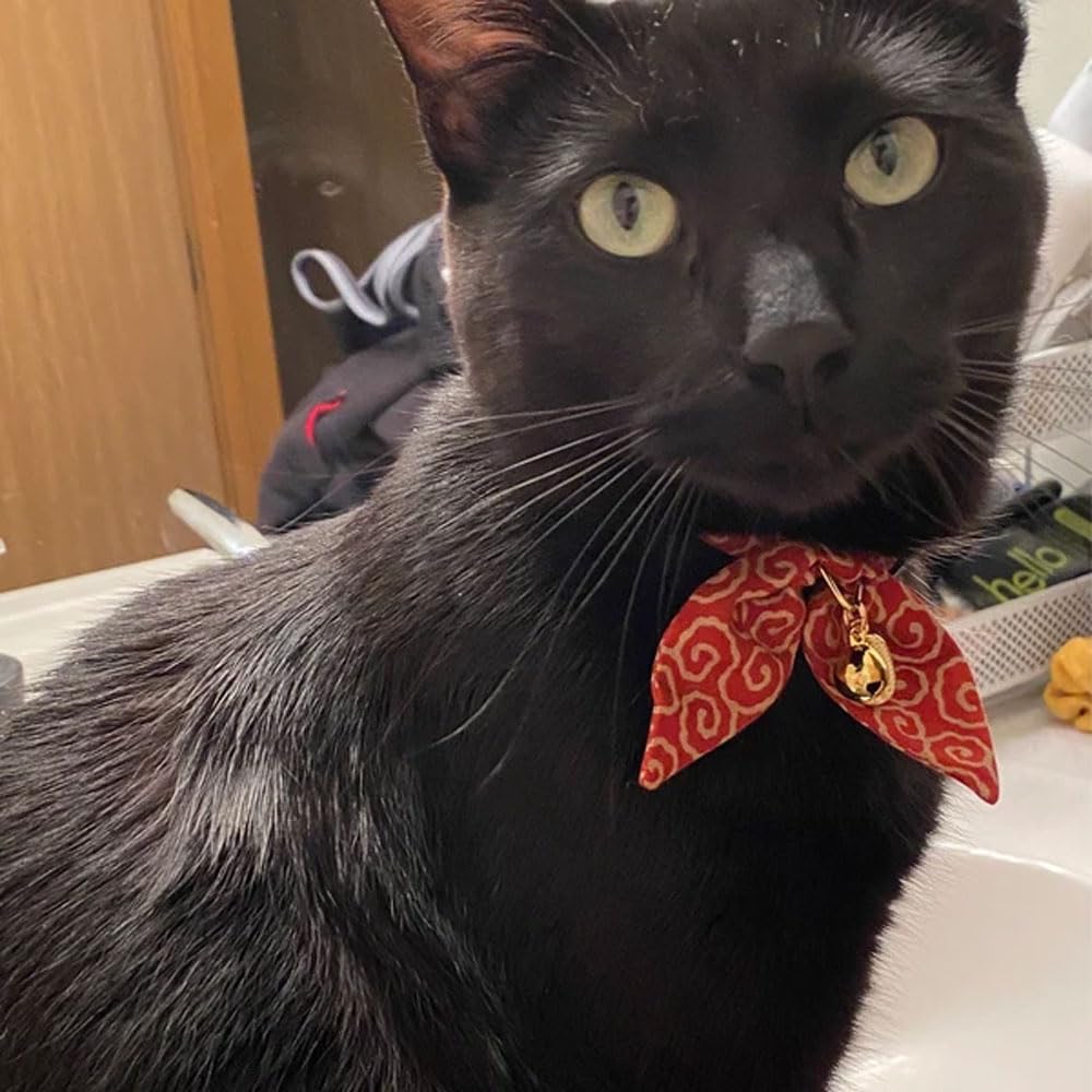 PetSoKoo adjustable cat collar fits kittens to adults for a secure wear.