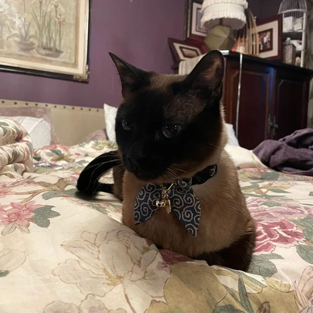 PetSoKoo Hypoallergenic cotton collar reduces skin irritation.
