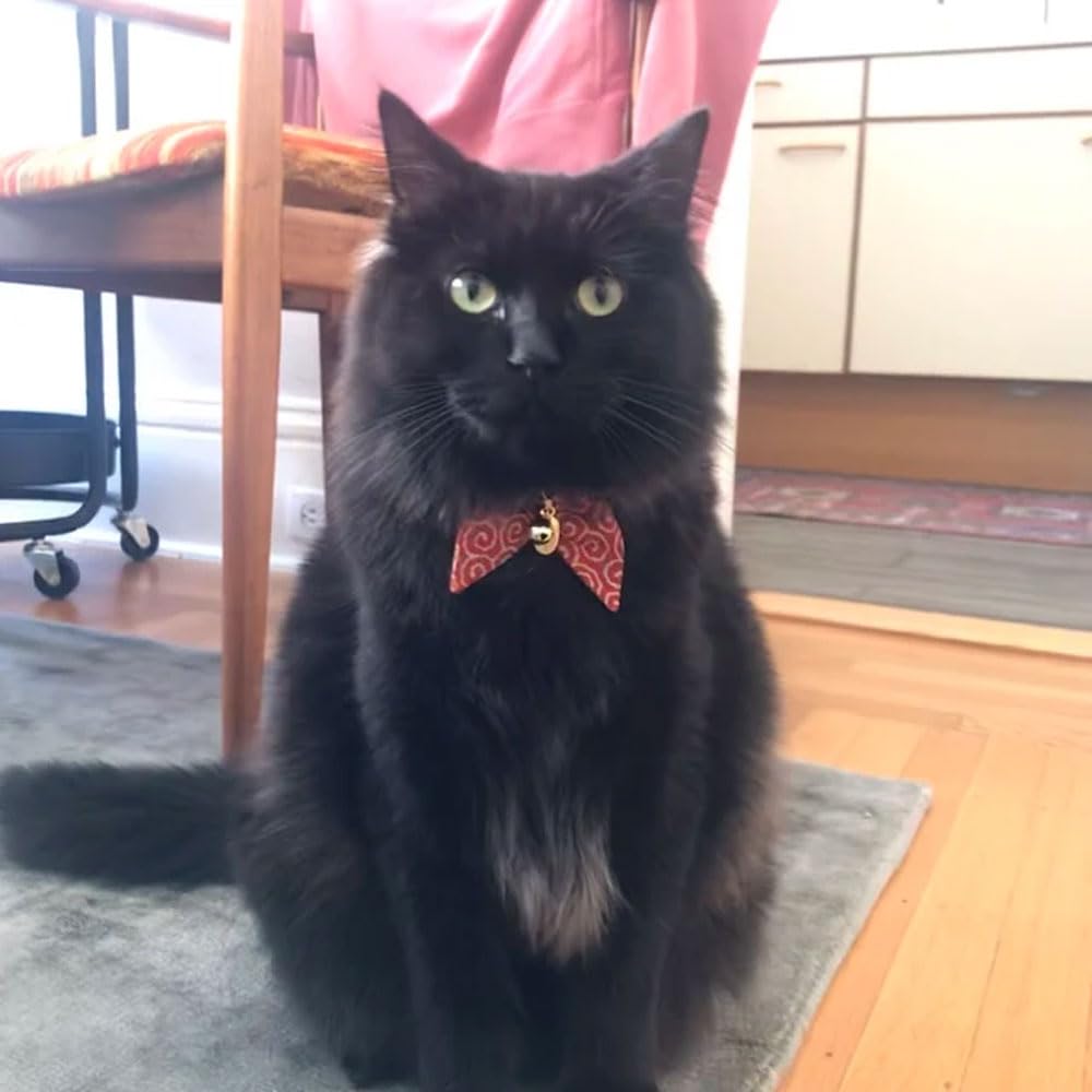 PetSoKoo red collar with bell offers gentle alert sounds during walks.