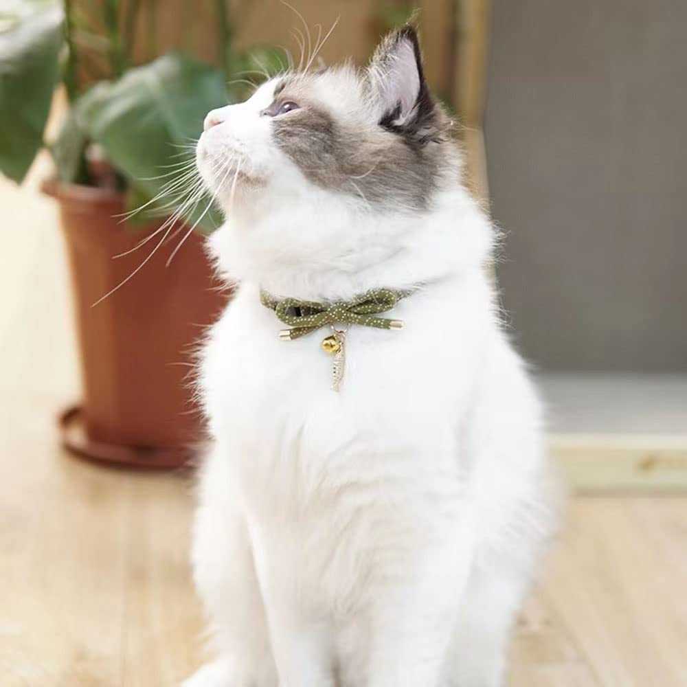 PetSoKoo soft cotton collar offers lightweight, hypoallergenic daily wear