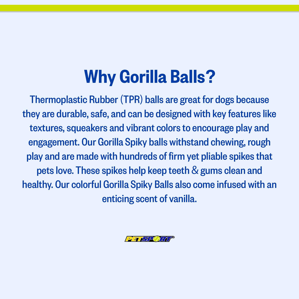 PetSport Gorilla Spiky Ball happy senior dog enjoys playful moments.