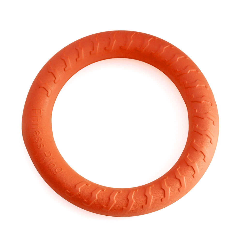 PetSpy chewers safe ring designed for aggressive chewers during play.