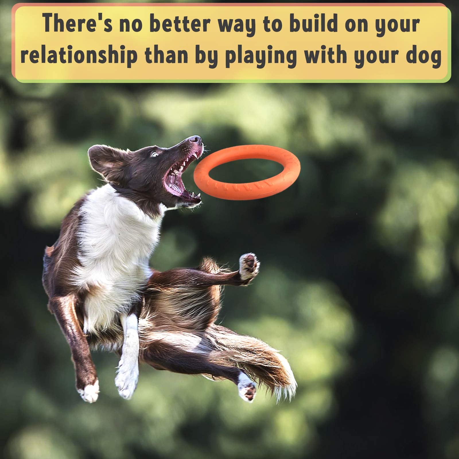 PetSpy durable EVA design withstands fetch and tug.