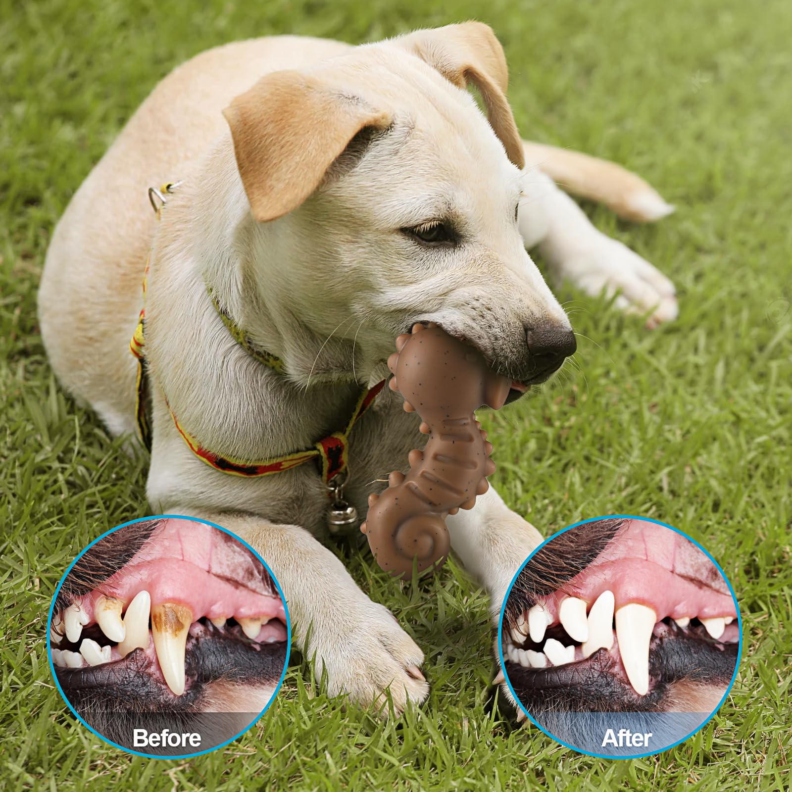PETSTA Large-dog friendly toy designed for powerful jaws.