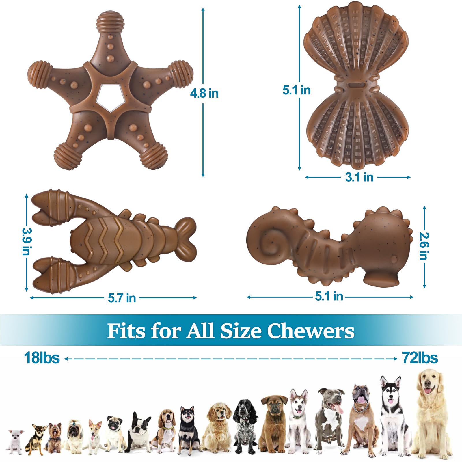 PETSTA Scallop nylon toy for safe, satisfying gnawing.