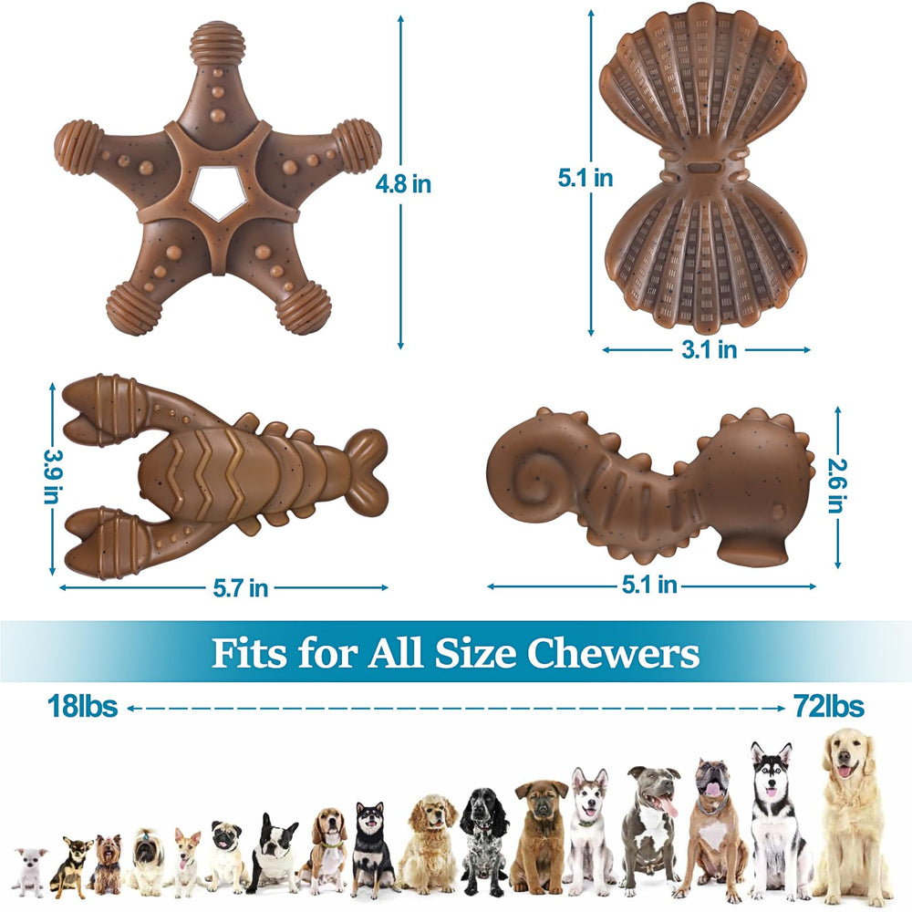 PETSTA Scallop nylon toy for safe, satisfying gnawing.