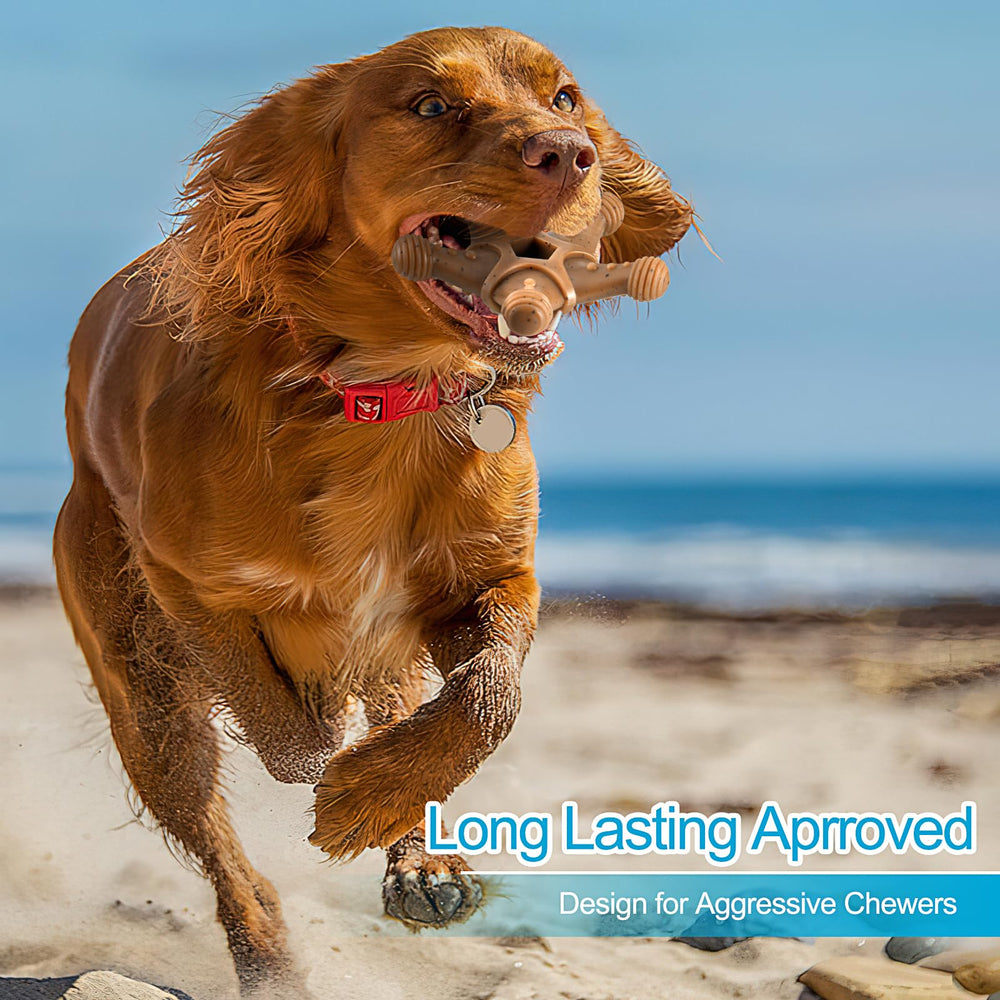 PETSTA Paw-friendly grip aids easy pickup and start of chewing.