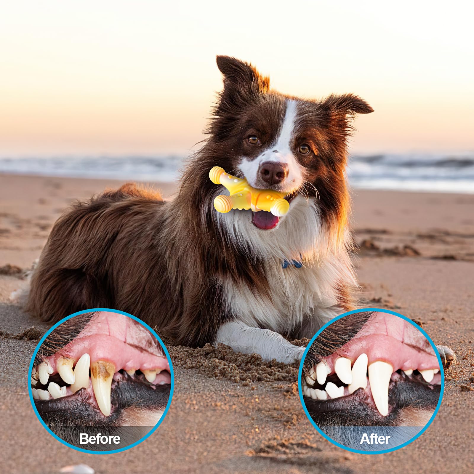 PETSTA pack of four durable dog toys saves money while reducing toy replacements.