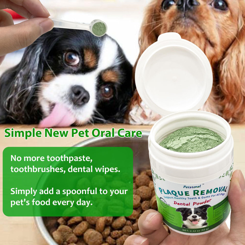 Petstoral dog teeth and gums health close-up during application.