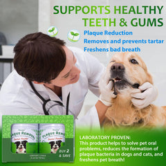 Petstoral plaque removal with dog teeth close-up and healthy smile.