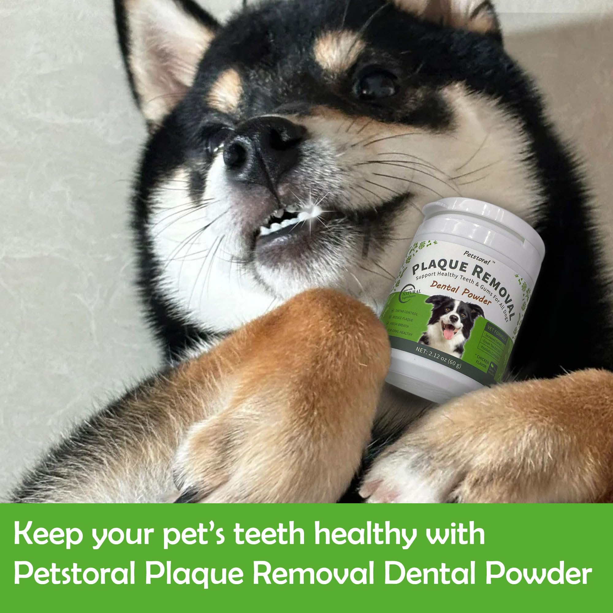 Petstoral probiotic dental powder application supporting digestion-friendly care.