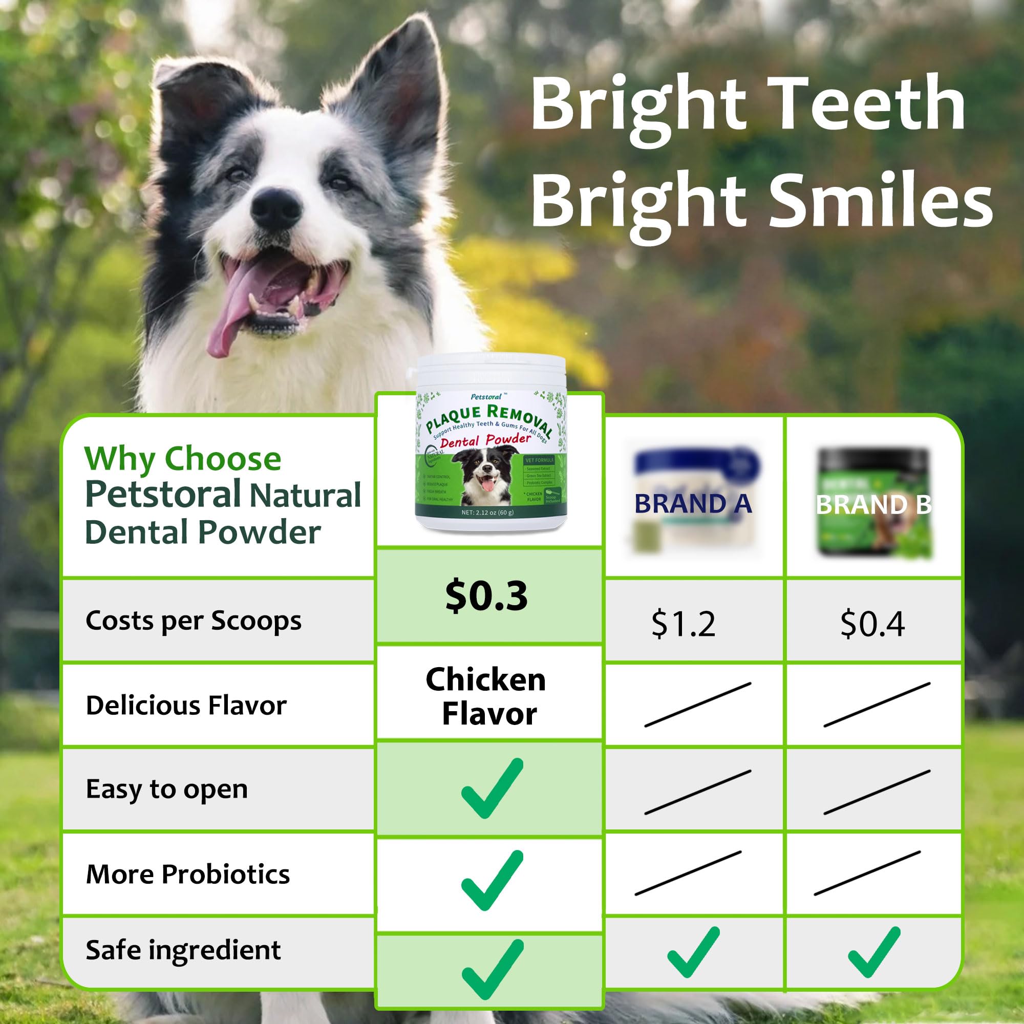 Petstoral probiotics-digestive-bowl illustrates digestive balance potential