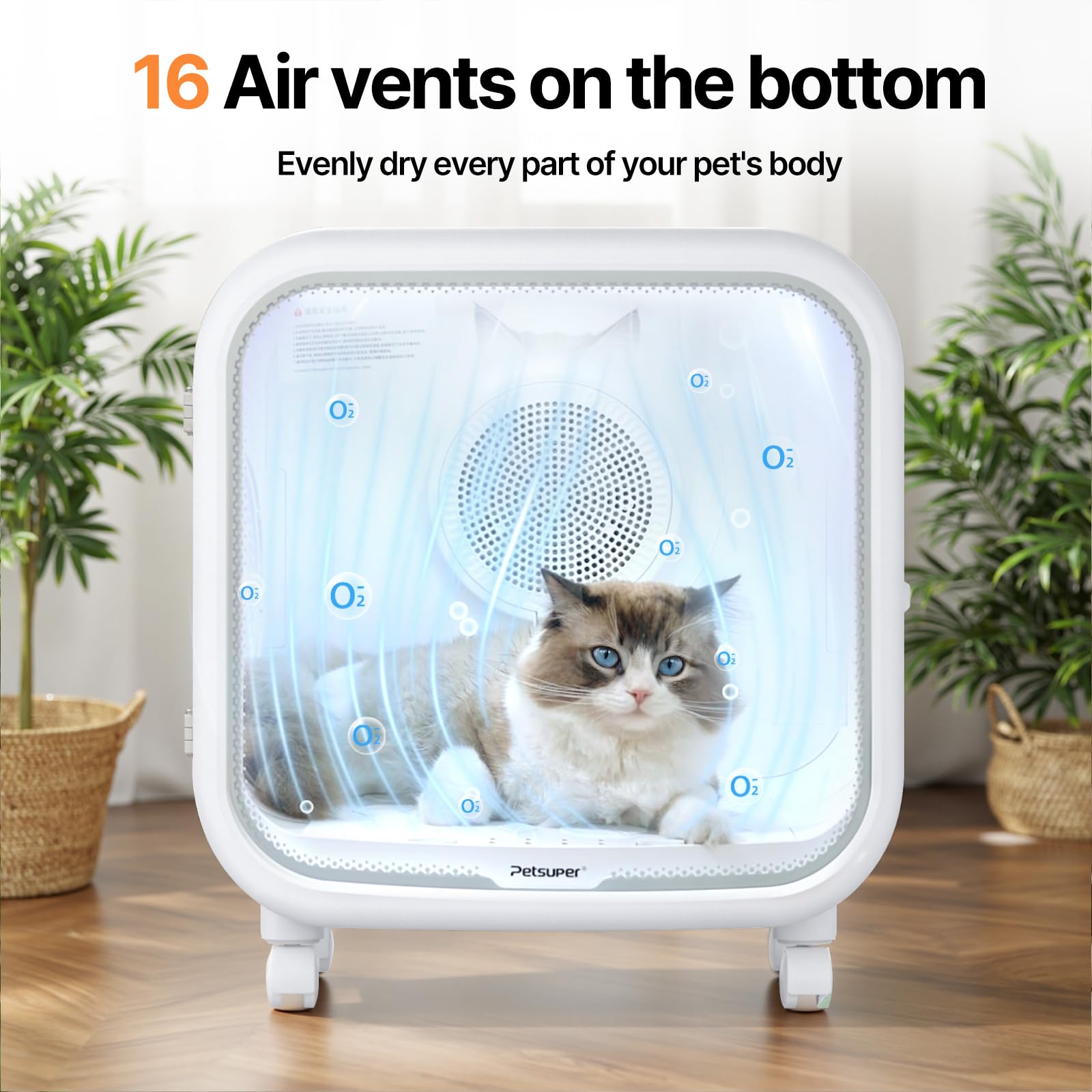 Petsuper app screen preview shows temperature, wind speed, UV and timing