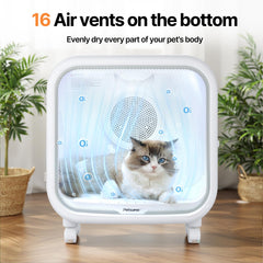 Petsuper app screen preview shows temperature, wind speed, UV and timing