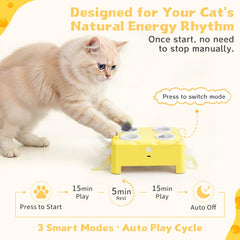 PETSWEET Cheese Box anti-slip base on a smooth floor