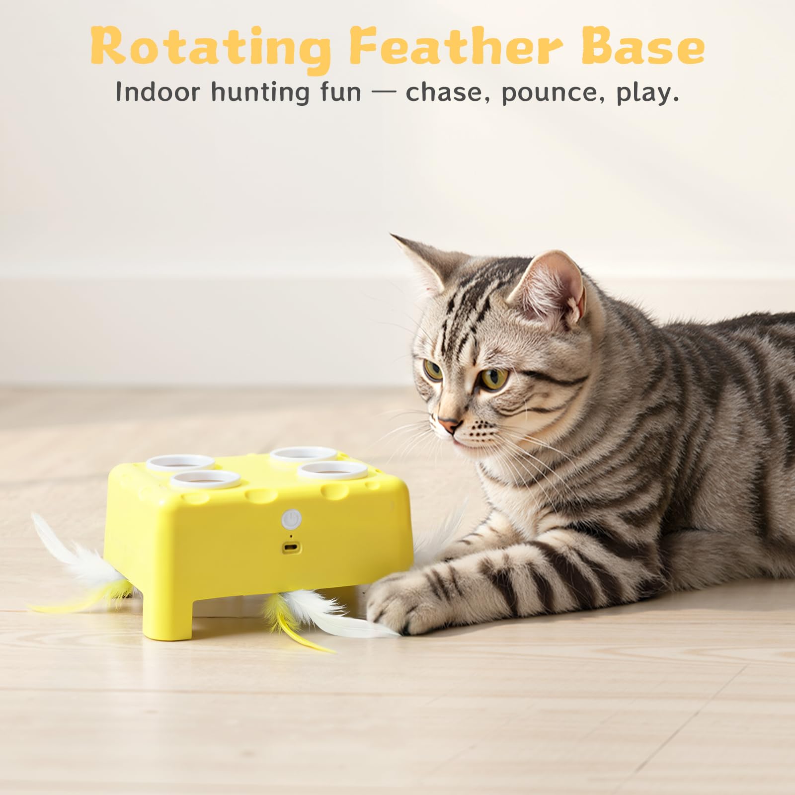 PETSWEET Cheese Box auto-pause feature in action for extended play