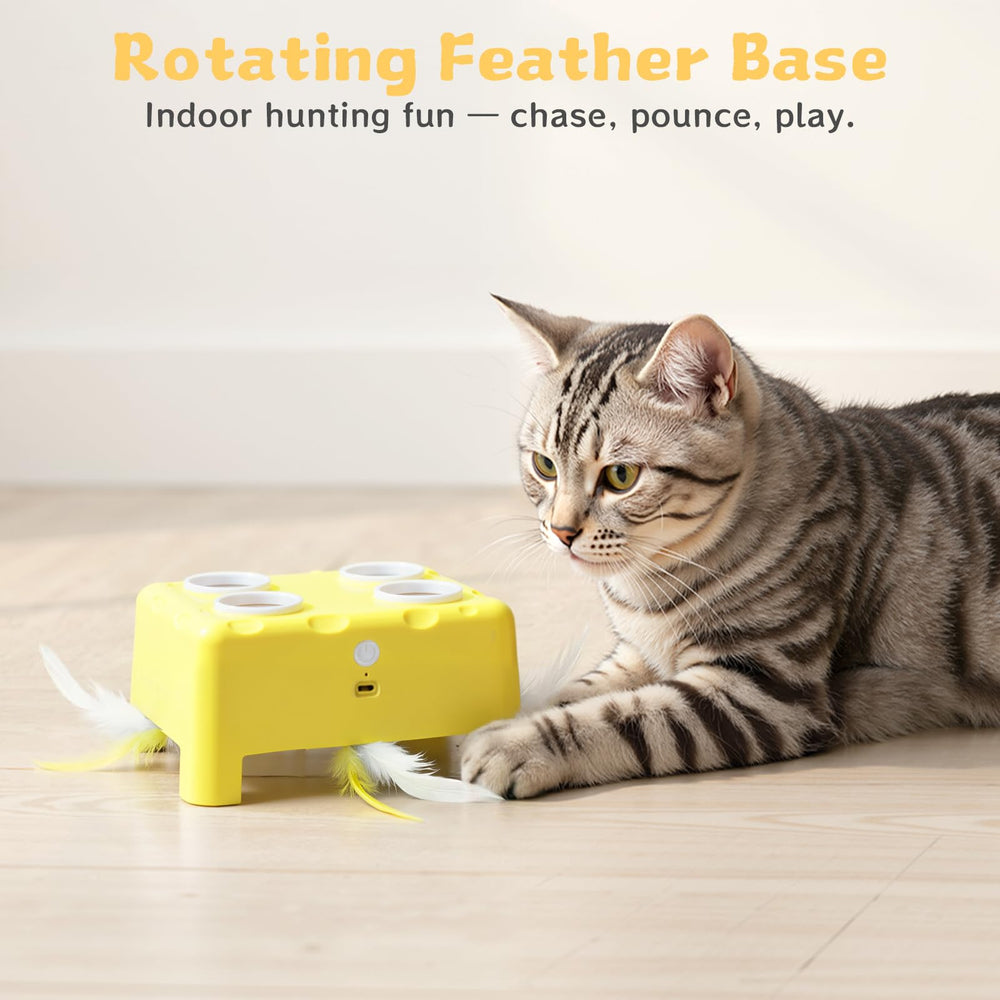 PETSWEET Cheese Box auto-pause feature in action for extended play