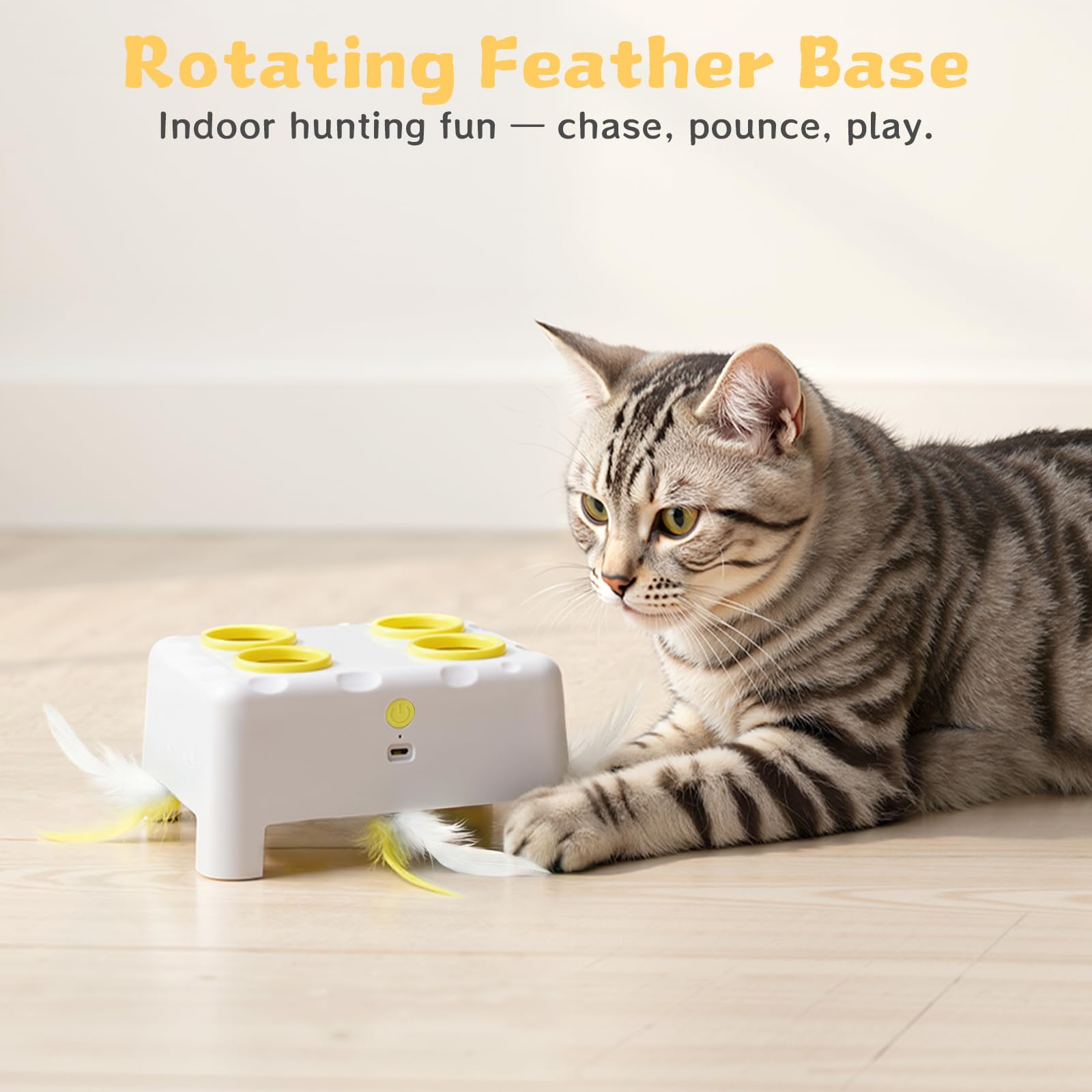 PETSWEET Cheese Box auto-pause saves battery between bursts.