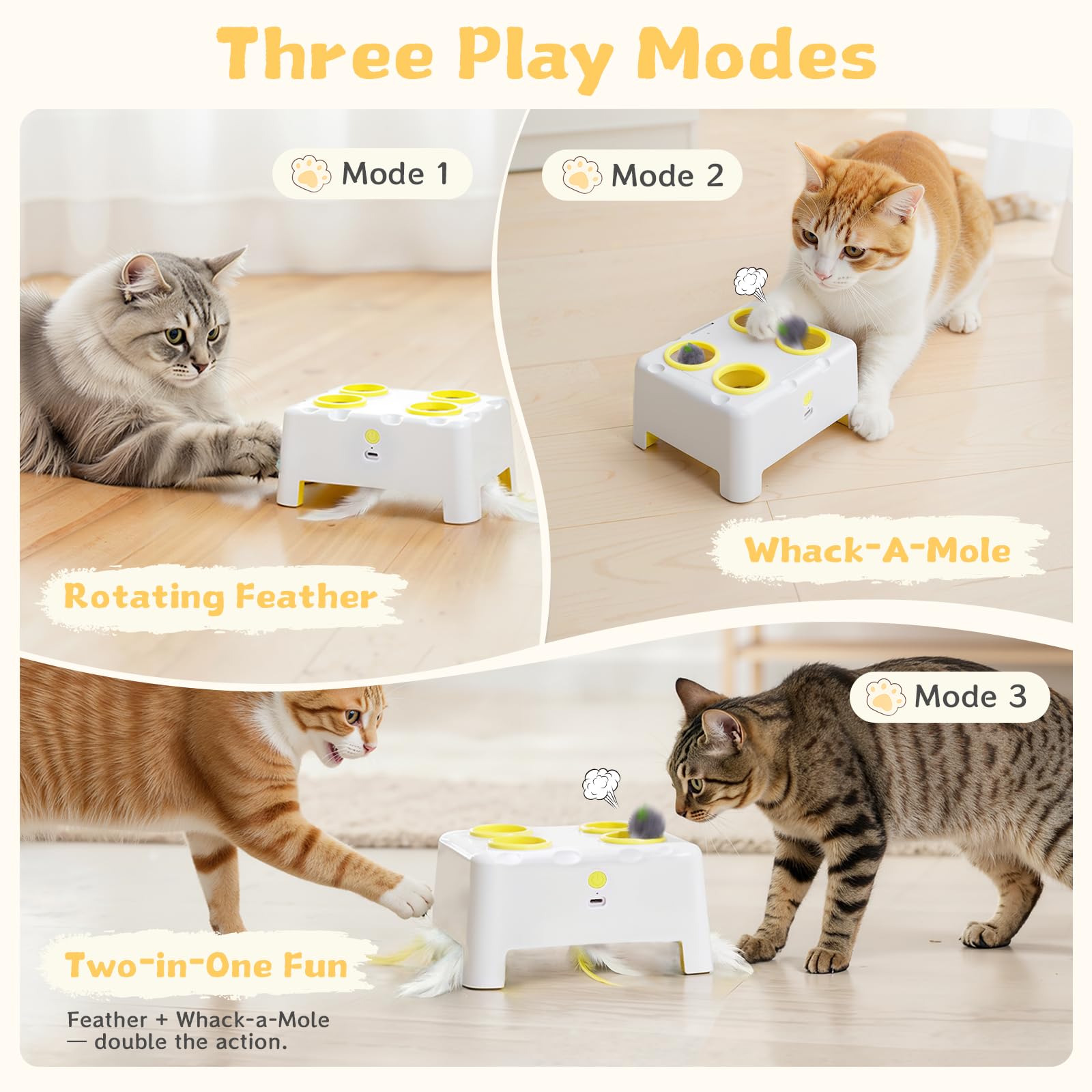PETSWEET Cheese Box feather-attachments add variety and lasting engagement.