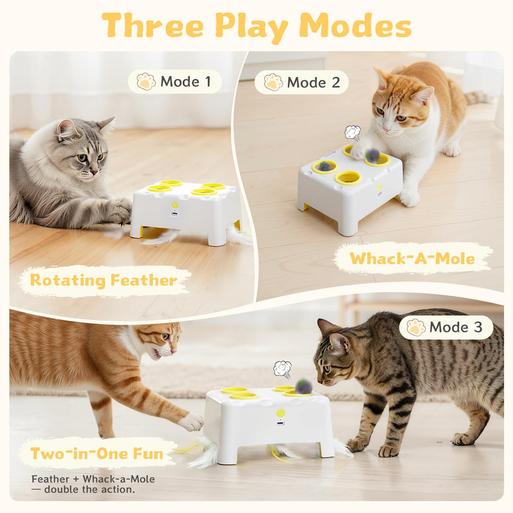PETSWEET Cheese Box feather-attachments add variety and lasting engagement.