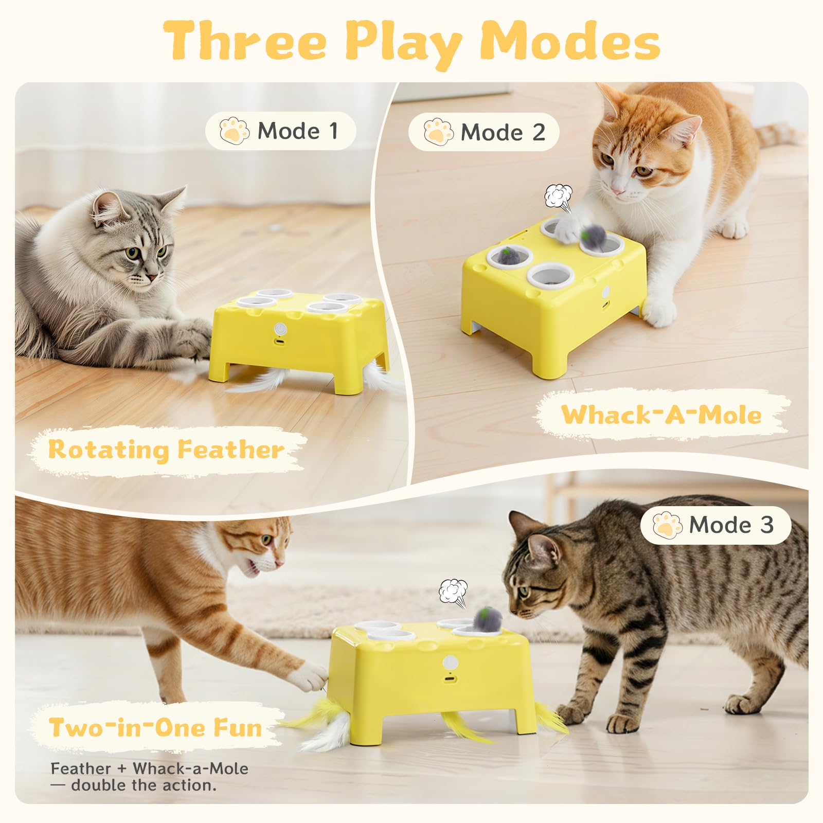 PETSWEET Cheese Box full combo mode activated for energetic cats