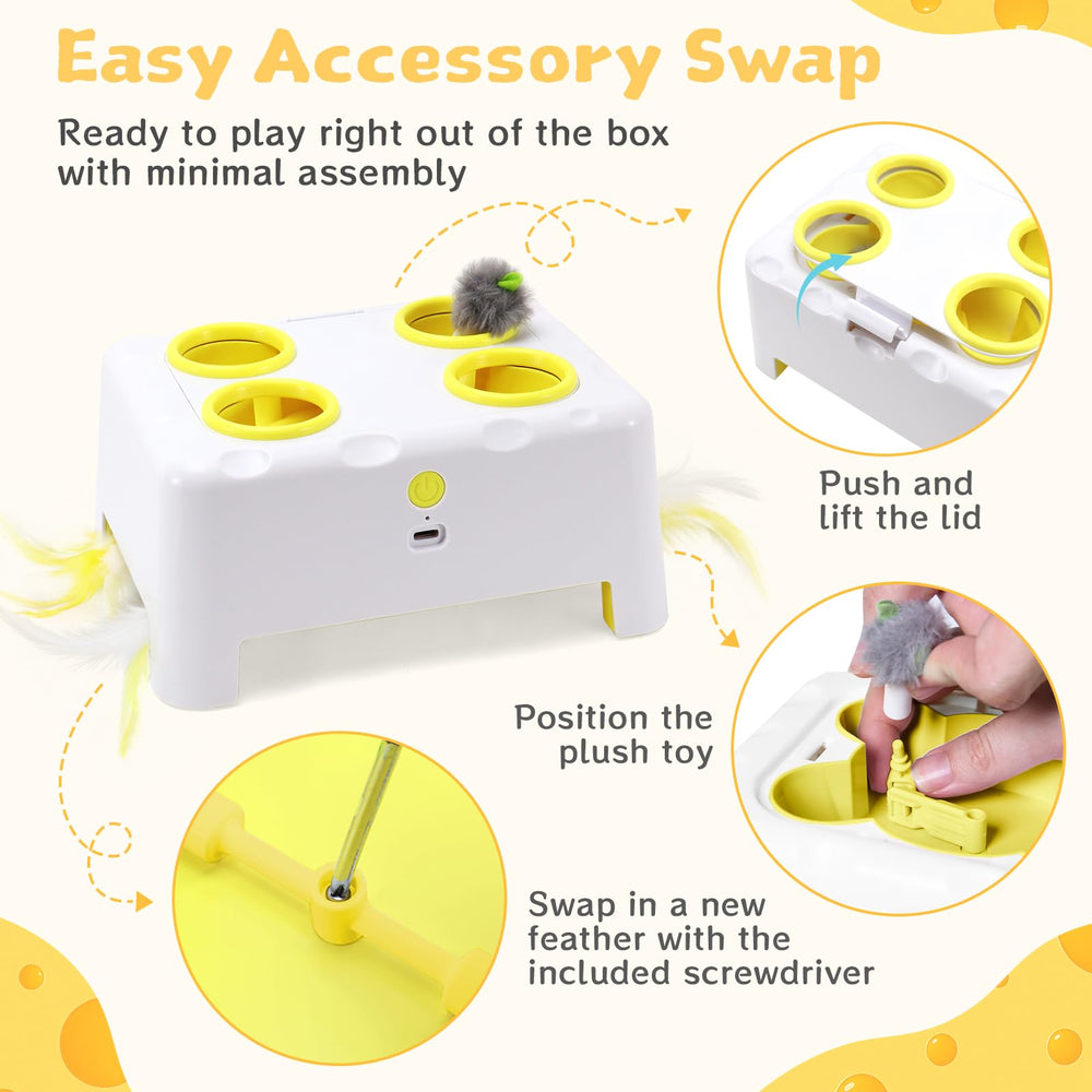 PETSWEET Cheese Box full-setup ready for immediate playtime.
