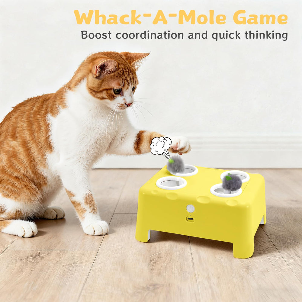 PETSWEET Cheese Box rechargeable battery with USB charging
