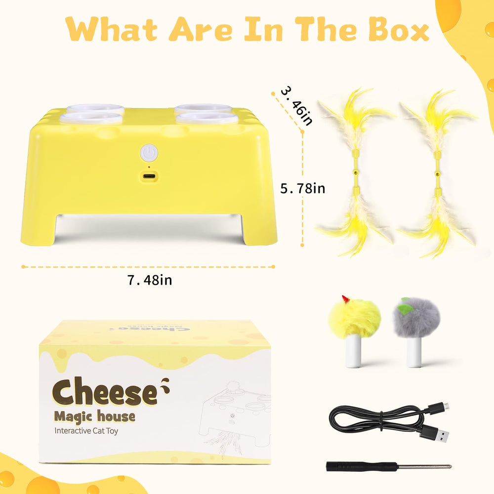 PETSWEET Cheese Box yellow cheese-like design inviting curiosity