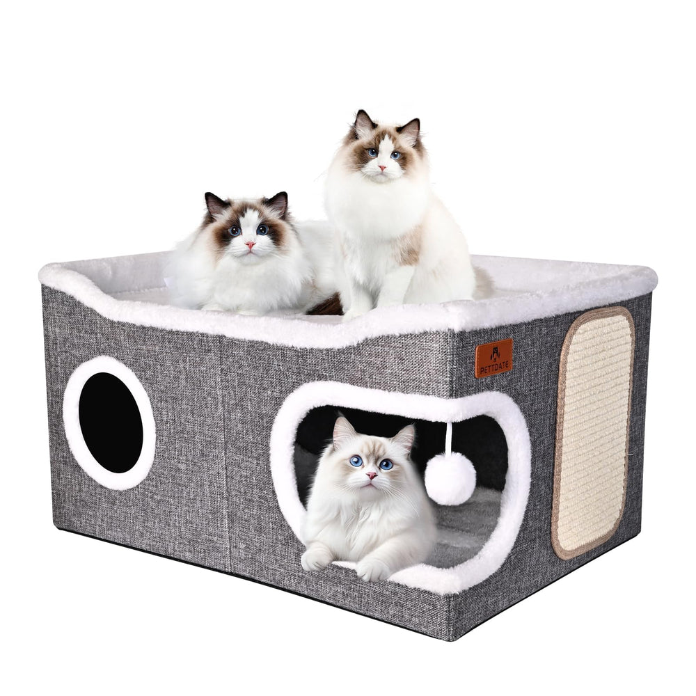 PETTDATE extra-large cat bed open top for lounging and play