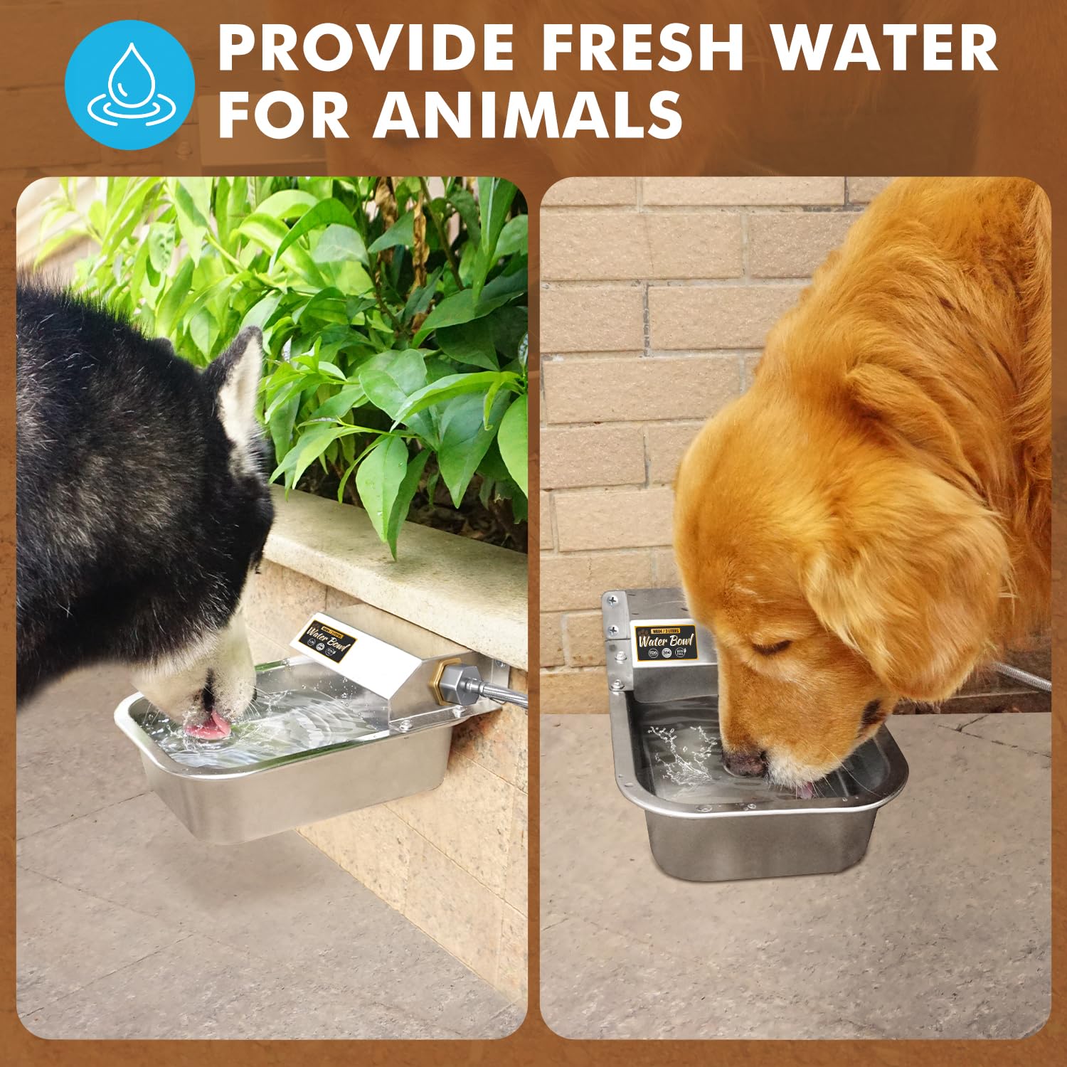 PETTEN large-capacity dispenser suits big dogs and multi-pet homes.