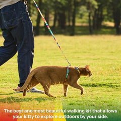 PetThem cat harness escape-proof chest strap close-up for safety