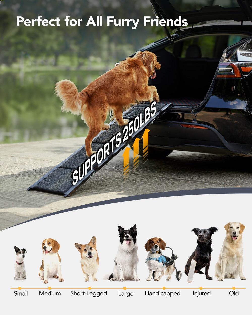 PetThem ramp is portable with a handle for simple transport