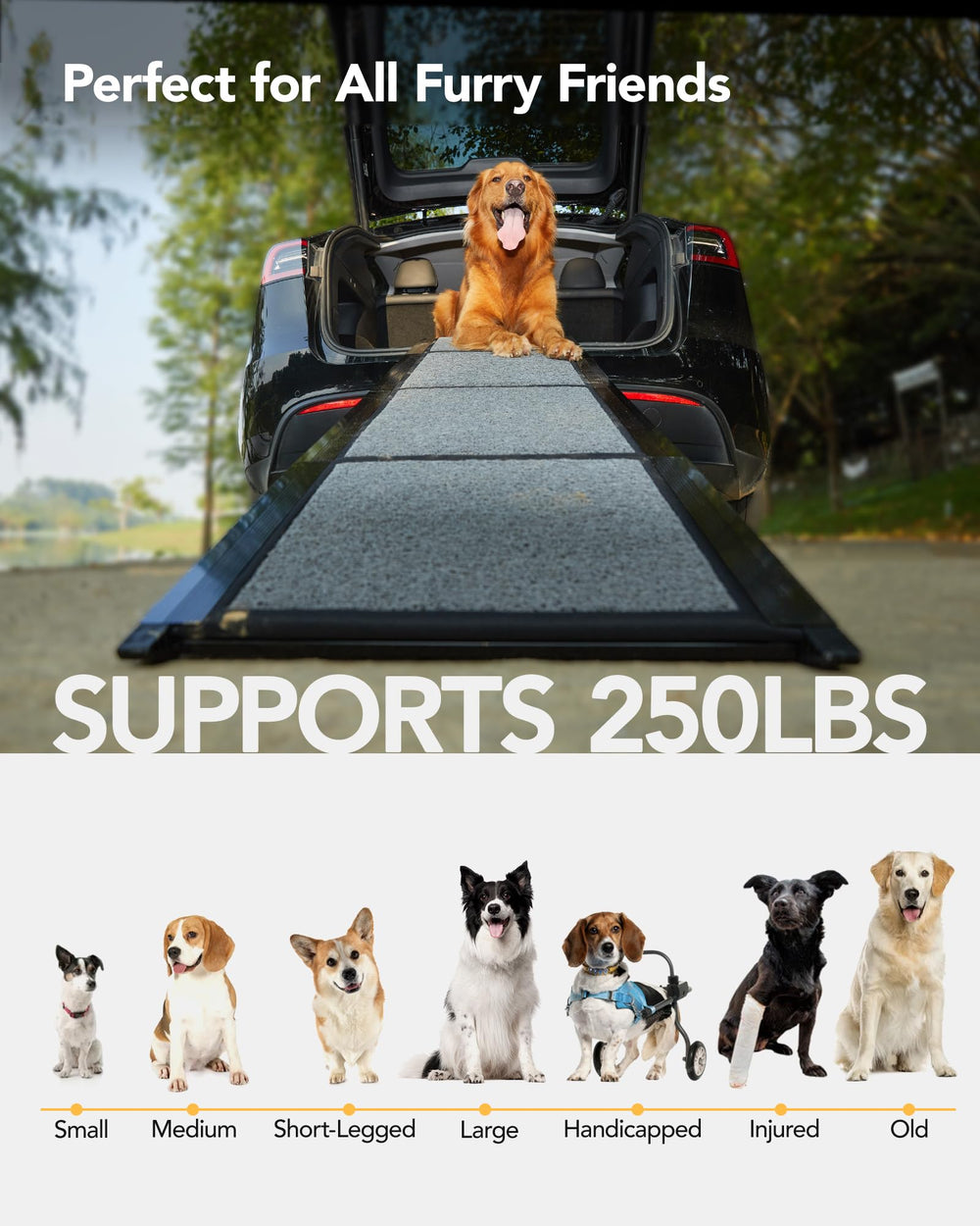 PetThem dog ramp includes a handle for quick carrying.