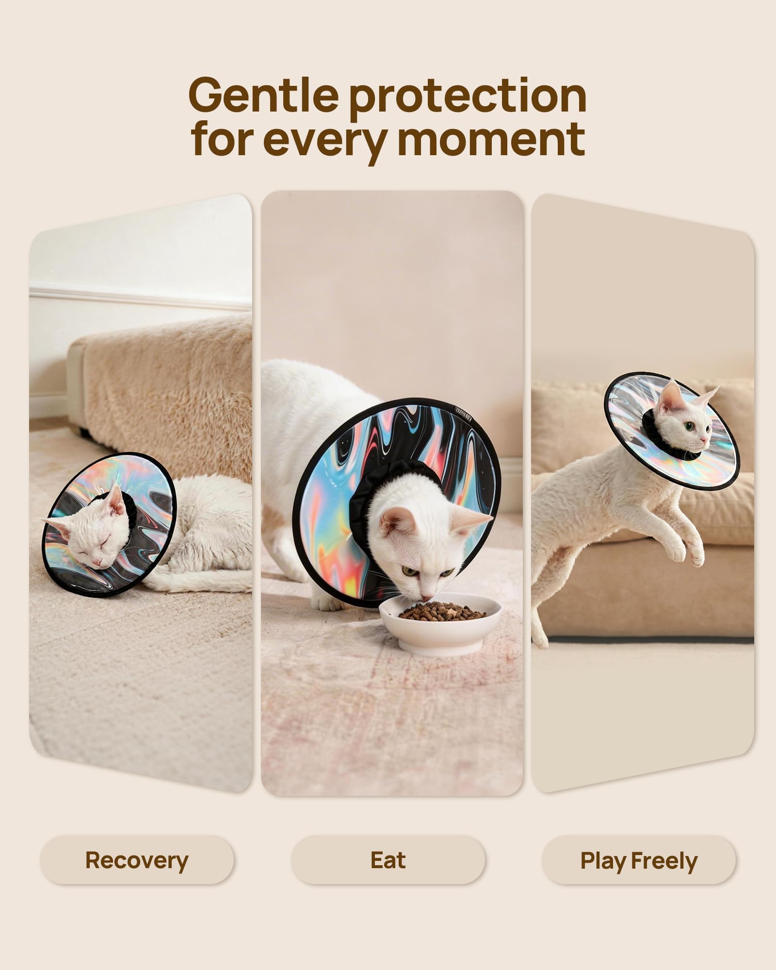 PetThem easy-clean collar maintained with a quick damp wipe