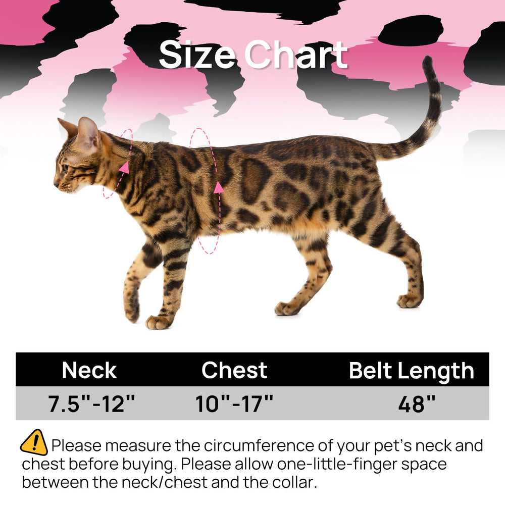 PetThem escape-proof design keeps cats secure during outdoor strolls