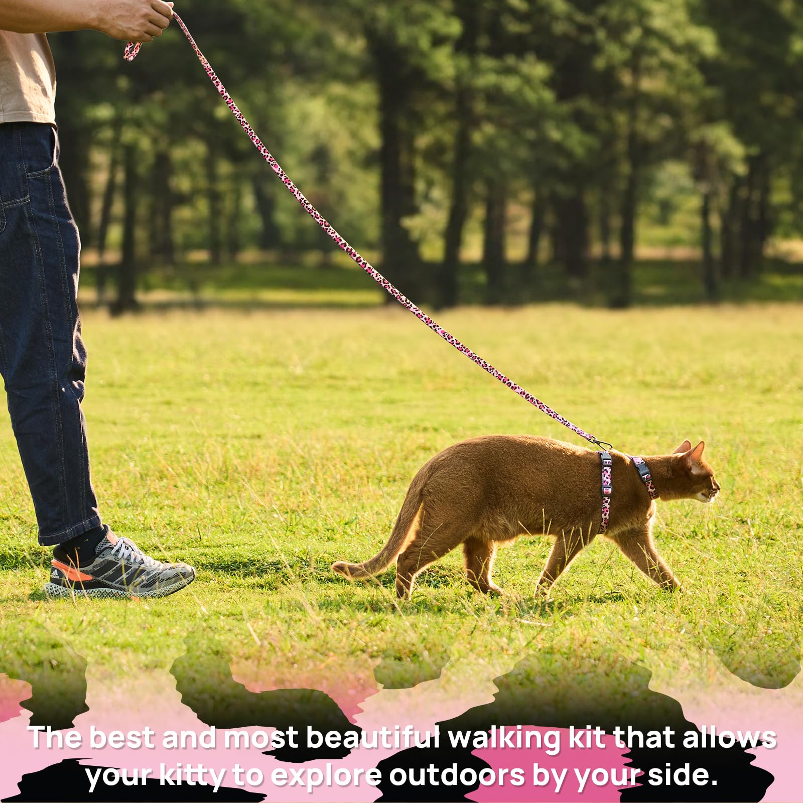 PetThem cat walks happily in a harness for safe exploration