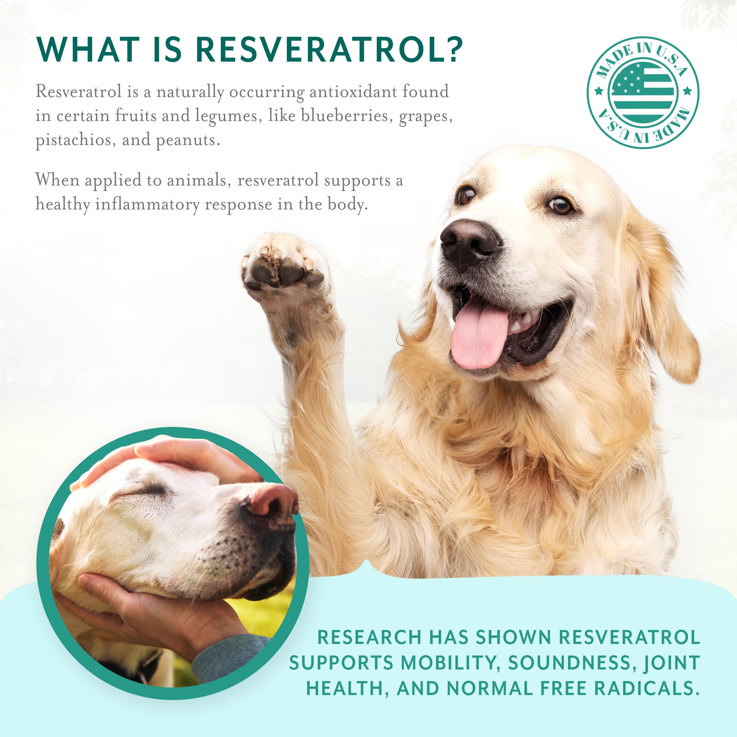 PetThrive ingredients label on bottle highlights glucosamine, chondroitin, hyaluronic acid.