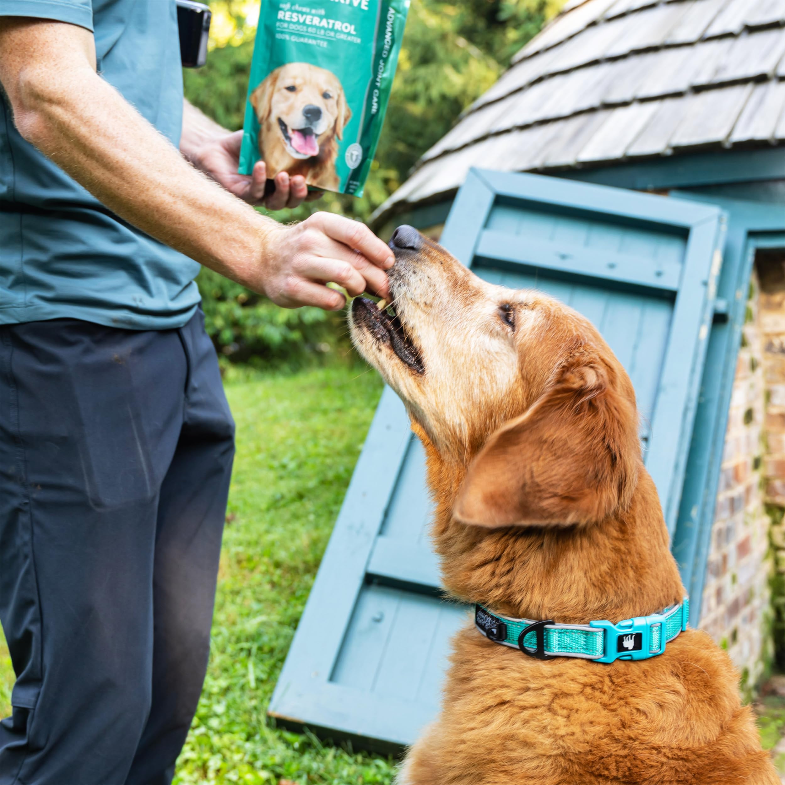 PetThrive packaging front emphasizes bacon flavor and USA-made quality.
