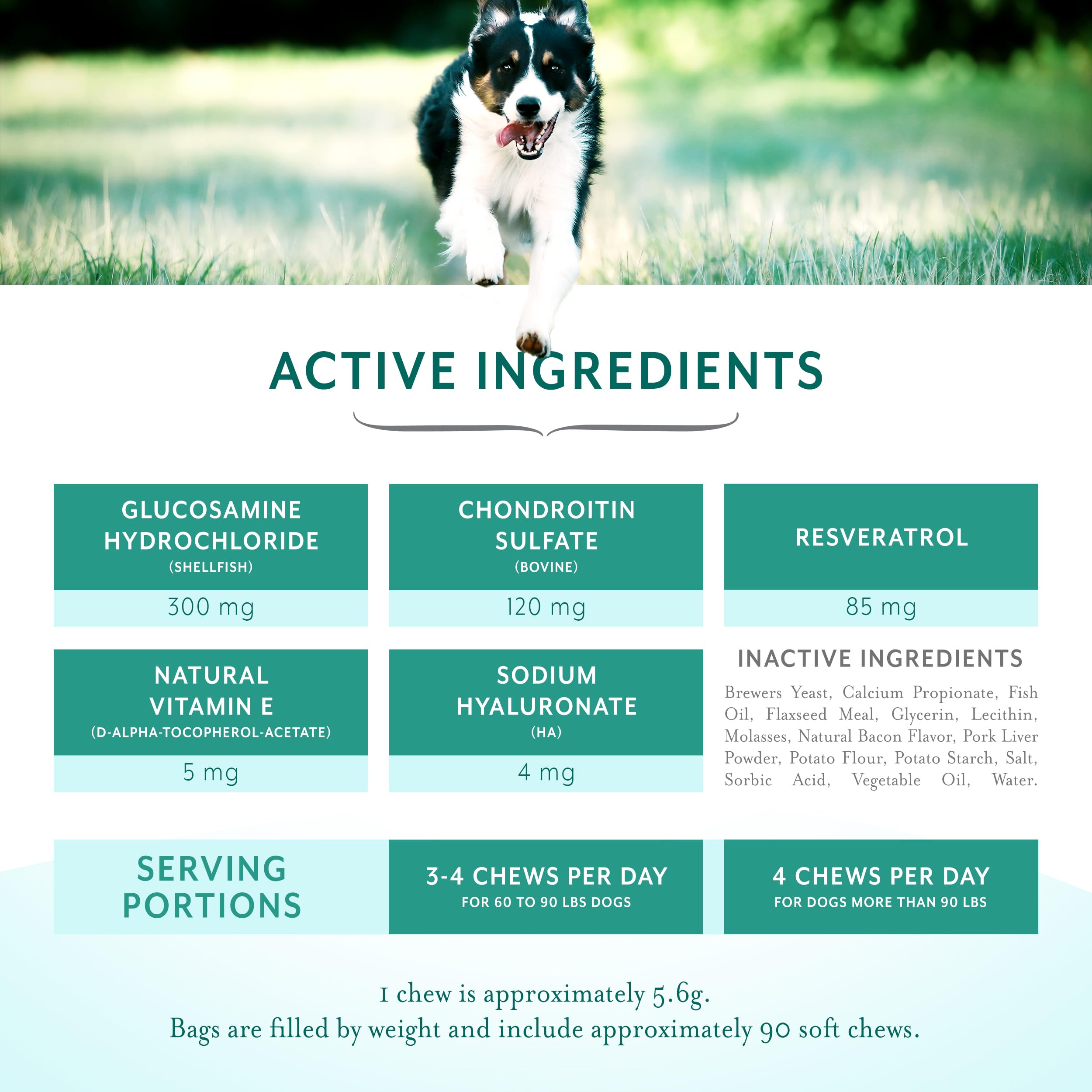 PetThrive hip joint chews texture closeup shows chewy consistency for dogs.
