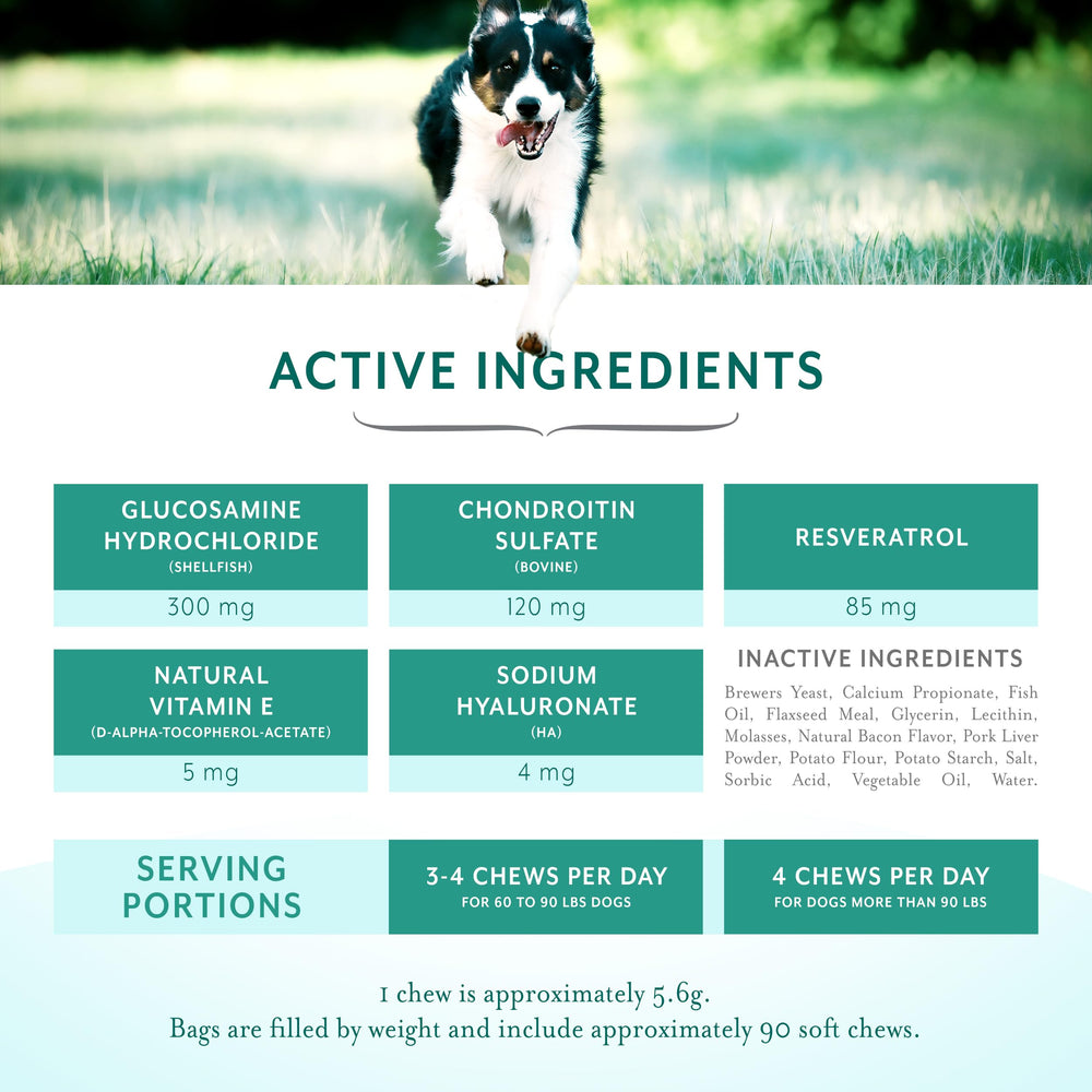 PetThrive hip joint chews texture closeup shows chewy consistency for dogs.